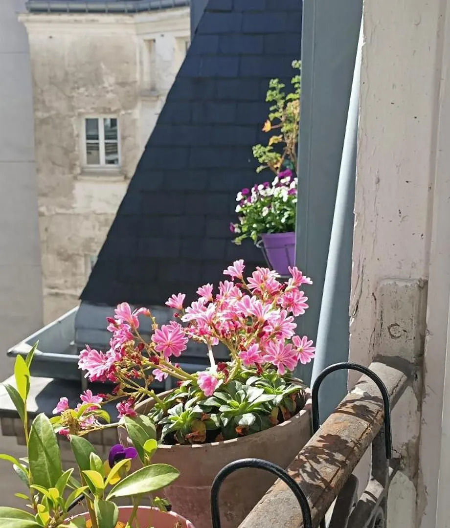 Homestay La Chambre Bleue Apartment Paris France